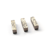 Segment diamant&eacute; pour le meulage du b&eacute;ton