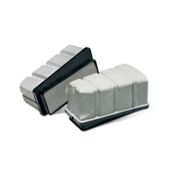  Abrasifs Magn&eacute;site Fickert pour le polissage du granit 